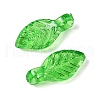 Transparent Acrylic Charms TACR-F009-11E-2