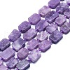 Natural Lepidolite/Purple Mica Stone Beads Strands G-K245-J05-01-1