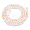 Natural Freshwater Shell Beads Strands X-BSHE-T009A-01B-2