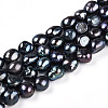 Natural Cultured Freshwater Pearl Beads Strands PEAR-N014-09A-05-5