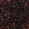 Transparent Baking Paint Glass Seed Beads SEED-A033-06A-09-3