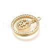 Brass Micro Pave Cubic Zirconia Pendants KK-G519-05G-02-2