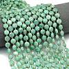 Natural Amazonite Beads Strands G-C116-A39-02-1