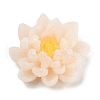 Two Tone Opaque Resin Decoden Cabochons RESI-K042-01B-1