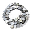 Natural Black Lip Shell Beads Strands BSHE-D300-05-8mm-4