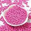 Baking Paint Glass Seed Beads X1-SEED-B001-02A-01-2