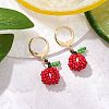 Glass Seed Beads Leverback Earrings EJEW-MZ00345-1