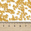 Glass Seed Beads SEED-L011-01B-02-4