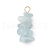10Pcs 5 Colors 12 Constellation Natural Aquamarine & Citrine & Rose Quartz & Tiger Eye & Dyed Blue Tiger Eye Pendants PALLOY-JF02839-08-3