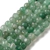 Natural Green Aventurine Beads Strands G-D081-A09-1