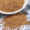 MIYUKI Delica Beads SEED-J020-DB1833F-1