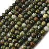 Natural Chinese Southern Jade Beads Strands G-F591-08A-01-1