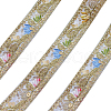 Polyester Embroidery Ribbon PW-WG49779-05-1-1