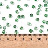 6/0 Baking Paint Transparent Glass Seed Beads X1-SEED-N006-06K-4