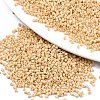11/0 Grade A Glass Seed Beads SEED-S030-1017-1