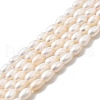 Natural Cultured Freshwater Pearl Beads Strands PEAR-I007-01N-02A-2