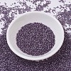 MIYUKI Delica Beads SEED-J020-DB0695-2