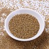 MIYUKI Delica Beads SEED-J020-DB2043-2