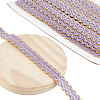 Polyester Filigree Wavy Lace Ribbon OCOR-WH0082-211B-1