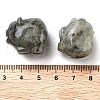 Natural Labradorite Carved Figurines DJEW-L023-C12-3