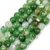 Natural Fire Crackle Agate Beads Strands G-C082-A01-26-2