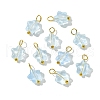 Glass Pendant PALLOY-YW00032-07-1