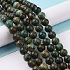 Natural African Turquoise(Jasper) Beads Strands TURQ-G037-10mm-4