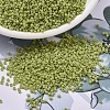 MIYUKI Delica Beads SEED-J020-DB2290-1