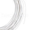 Round Iron Wire FIND-WH0152-648B-1
