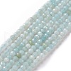 Natural Amazonite Beads Strands G-E351-10A-1