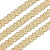 Polyester Ribbon OCOR-WH0068-09-9