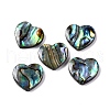 Natural Paua Shell Epoxy Resin Cabochons SSHEL-S279-01D-1