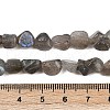 Natural Labradorite Beads Strands G-Q060-E20-01-5