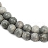 Natural Gemstone Beads Strands G-F792-C12-01-4