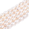 Natural Cultured Freshwater Pearl Beads Strands PEAR-N012-04S-2