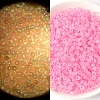 Luminous Translucent Glass Seed Beads PW-WGC2259-03-1