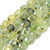 Natural Prehnite Beads Strand G-I376-D32-01-1