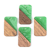 Resin & Walnut Wood Pendants RESI-S389-049A-2