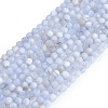 Natural Blue Lace Agate Beads Strands G-K366-B02-02-2