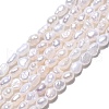 Natural Cultured Freshwater Pearl Beads Strands PEAR-N014-03E-2