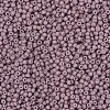 TOHO Round Seed Beads X-SEED-TR11-0766-2
