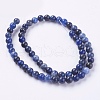 Natural Sodalite Beads Strands G-G448-6mm-25-2