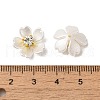 Brass Cabochons FIND-K016-01A-3