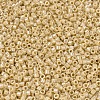 MIYUKI Delica Beads SEED-J020-DB1571-3