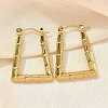 304 Stainless Steel Hoop Earrings for Women EJEW-L296-065G-2
