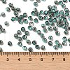 Transparent Inside Colours Glass Seed Beads SEED-H002-A-C222-4