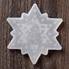 DIY Pendant Silicone Molds SIMO-Z005-10-4