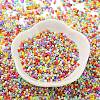Baking Paint Glass Seed Beads X-SEED-S042-05B-50-2