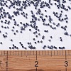 MIYUKI Delica Beads SEED-J020-DB0301-4