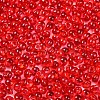 3/0 Baking Paint Glass Fringe Seed Beads SEED-A034-04E-3
